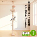 【 雑誌 anan 25ans 2誌掲載記念セール P10倍 最大 10%off クーポン 】 建築家 考案 画期的! ねこハウスシリーズ キャットタワー 突っ...