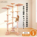 【 雑誌 anan 25ans 2誌掲載記念セール P10倍 最大 10%off クーポン 】 建築家 大工 考案 画期的! ねこハウスシリーズ キャットタワー...