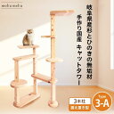 【 雑誌 anan 25ans 2誌掲載記念セール P10倍 最大 10%off クーポン 】 国産 杉 桧 多頭飼い基本セット キャットタワー 木製 据え置き...