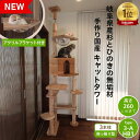 【 anan 25ans 2誌掲載 P5倍 マラソン期間 購入額で最大 10%offクーポン 】 建築家 大工 考案 画期的! ねこハウスシリーズ キャットタワ...