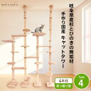 【 雑誌 anan 25ans 2誌掲載記念 マラソン P5倍 最大15%off クーポン 】 建築家 大工 考案 画期的 ! ねこハウスシリーズ キャットタワ...