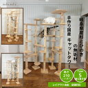 【 ねこハウスシリーズ 】 キャットウォーク キャットタワー キャットツリー 部屋中に 猫の遊び場 を 自由自在 に構築 天井突っ張り型 も販売中 豊富なオプション 追加部材 続々開発中