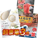 超豪華3点セット 【ポイント10倍 要エントリー】二次会 景品セット 目録 ズワイガニ 近江牛 ハーゲンダッツ A3パネル付 結婚式 ビンゴ ゴルフ 有効期限無...