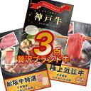 【ポイント10倍 要エントリー】二次会 景品 目録 パネルセット【贅沢ブランド牛セット 3点セット】松阪牛、神戸牛、近江牛 目録 全てA3パネル付 ビンゴ 結婚...