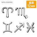 【モレスキン公式店 限定ショッパー付】 モレスキン ピン 星座 シルバー ノートアクセサリー