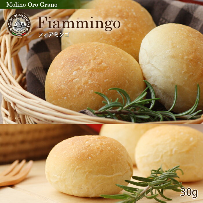 �ե����ߥ�[fiammingo]6�������񥢥�륮���б��ۥơ��֥�ѥ󥤥��ꥢ�ѥ�����Ź�إ��Υ��������顼�Ρ�(Molino Oro Grano)�ڥݥ�����ܥ����ꥢ���ץ�ߥ��ྮ�����ѡۡ�02P27Dec14