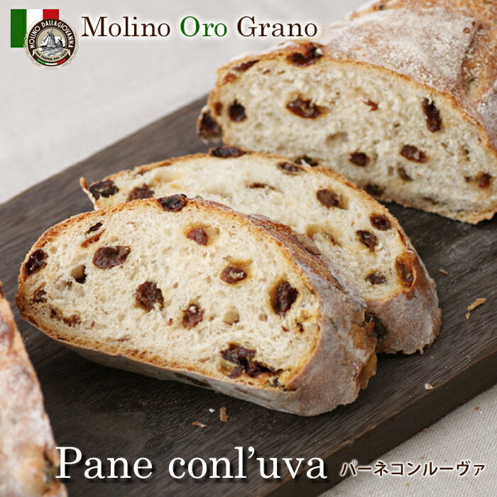 レーズンパン パーネコンルーバ [pane con l'uva]1個【卵不使用・卵アレルギー対応】(レーズンパン)イタリアパン専門店『モリノオーログラーノ』MolinoOroGrano【ポイント倍%offイタリア産小麦使用】【02P28Mar14