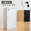 キューブボックス 縦長 鍵付き CUBE BOX カギ付き 鍵付きボックス 縦型 扉付き 書庫 収納ボックス 収納家具 キャビネット カラーボックス 木製 ナチュラル 棚 本棚 収納棚 収納ラック 組み合わせ自由 キューブBOX 鍵付きロッカー 貴重品 保管庫 シェルフ おしゃれ家具