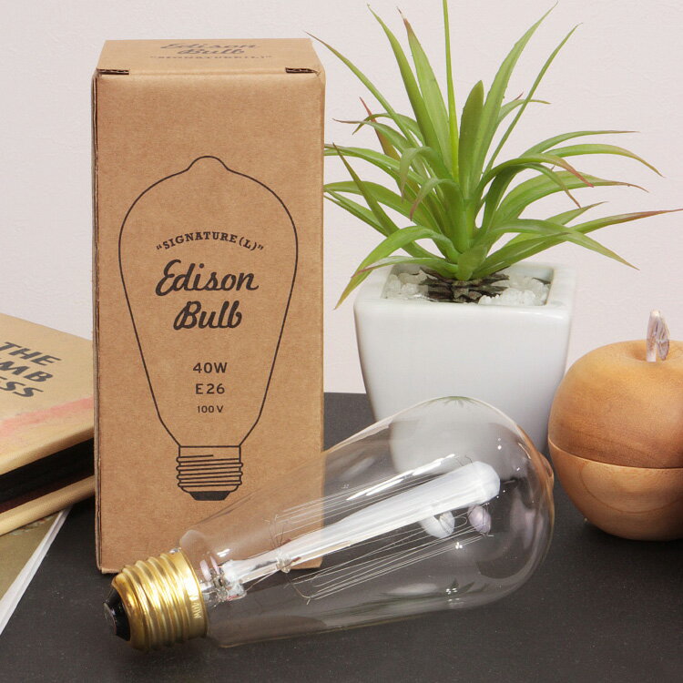 白熱球 エジソンバルブ シグネチャー（L） [Edison Bulb “Signature（L）”] ディティール [DETAIL] 2939SL【レトロ アンティーク フィラメント 26mm 26口金 一般電球 電球色 e26 40w 口金 照明器具 買い回り おしゃれ 新生活】