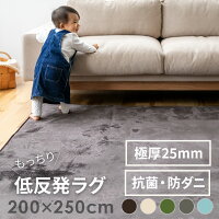 低反発ラグマット 200x250cm|滑り止め付き 厚手 ラグ 長方形 3畳 ふわふわ 絨毯 じゅうたん おしゃれ 秋冬用 春夏用 オールシーズン マット 赤ちゃん ベビー ノンホルムアルデヒド 防ダニ 抗菌 撥水 ホットカーペット対応 床暖房 遮音 防音 北欧