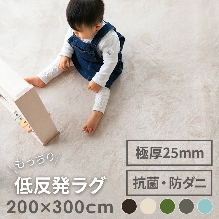 ȿȯ饰ޥå 200x300cm ߤդ դդ 饰  ̲  Ĺ ä饰  夦 ѥ饰 륷 ֤ ٥ӡ Υۥॢǥҥ ɥ   ۥåȥڥåб ˼ ײ ɲ 襤 ȶ äå