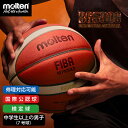 molten|モルテン 公式|バスケットボール 中学生以上の男子 7号球 BG5000 B7G5000