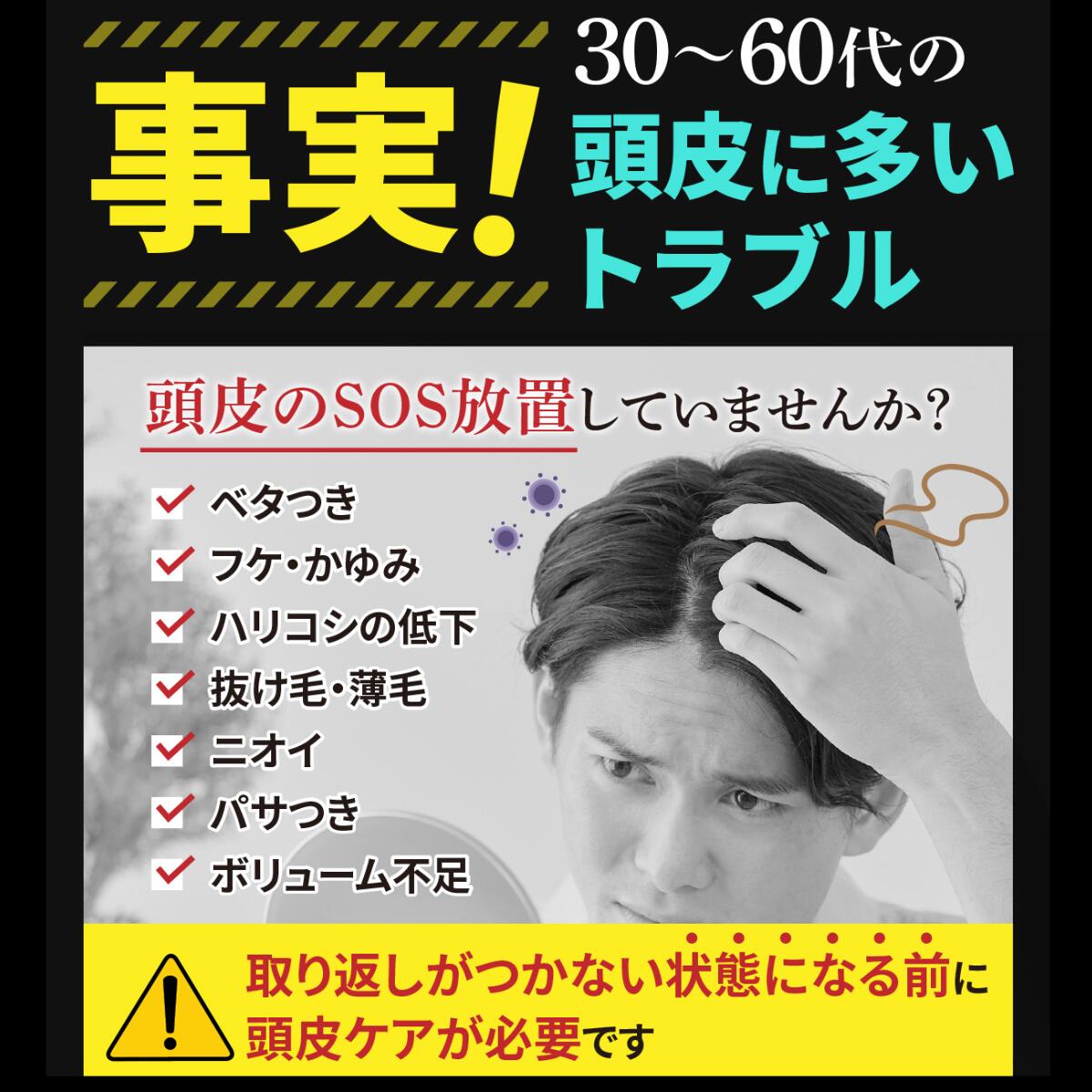 ��Ƭ��Υץ��ƽ��� �����ס��֥饷 ��� ��40�夫����ˤΡ� Ƭ��֥饷 ������ץ֥饷 ��Dear Mr.��