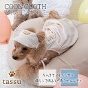 ペット用バルーンキャミ Sサイズ Mサイズ 濡らして ひんやり 冷たい COOL CLOTH クールクロスウェア tassu タッス 犬 猫 カバーオール ペット 犬 犬服 ドッグウェア ウェア 旅行 お出かけ SNS映え 169-6353 169-6354