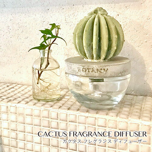 【全3種類】DULTON ダルトン:CACTUS FRAGRANCE DIFFUSER カクタス フレグランスディフューザー