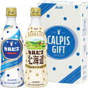 【包装のし完全無料】「アサヒ飲料「カルピス」ギフト2本セット(CN10P)」ちょこっとギフト・プチギフト・プチプライス 贈答品 返礼品 ギフト 小分け 御礼 ご...