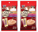 【セット販売】銀のスプーン 三ツ星グルメ にっぽんSelect とろリッチ 2種のアソート 48g(6g×8本)×2コ