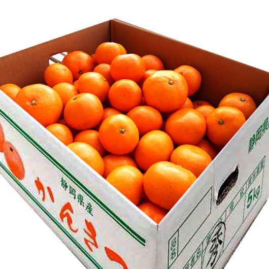 【クーポン有】 お歳暮 冬ギフト フルーツ 【送料無料】 静岡 青島みかん 5Kg フルーツ 御歳暮 冬ギフト 結婚 出産 内祝い 香典返し 快気祝い お返し ...