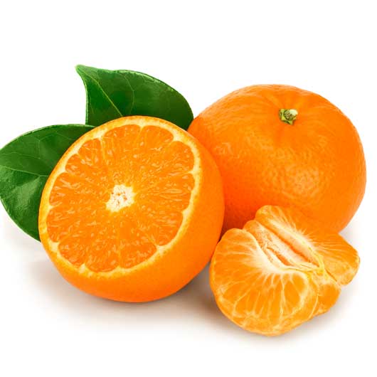 【クーポン有】 お歳暮 冬ギフト フルーツ 【送料無料】 静岡 青島みかん 3Kg フルーツ 御歳暮 冬ギフト 結婚 出産 内祝い 香典返し 快気祝い お返し ...