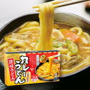 ギフト カレー 【送料無料】 【28個単位】うどん県 讃岐うどん3食 カレーうどん カレー ギフト カレー 900円 人気 800円台 敬老会 プレゼント イベ...