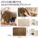 【42%OFF】 販促品 毛布・ブランケット ふわふわボアブランケット 1枚 毛布・ブランケット 敬老会 プレゼント デイサービス 施設 安い 販促品 激安 毛...