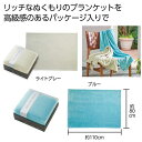 【44%OFF】 販促品 毛布・ブランケット 【送料無料】 プラチナリッチ ブランケット1枚 毛布・ブランケット 敬老会 プレゼント デイサービス 施設 安い ...
