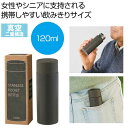 【今だけP最大47倍】【42%OFF】 販促品 マグボトル 真空ステンレスサーマルポケットボトル120ml(グレー) マグボトル 販促品 激安 マグボトル 60...