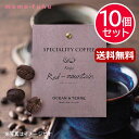お中元 プチギフト ドリップコーヒー 【送料無料】 Speciality Coffee 10 ケニア【10個セット】 ドリップコーヒー オーシャンテール 内祝い 出産内祝い ギフトセット 母の日 父の日 バースデー プレゼント