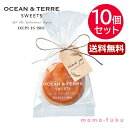 【P最大47倍】 母の日 ギフト お菓子 母の日 プレゼント スイーツ 【送料無料】 オレンジクッキー【10個セット】 クッキー セット オーシャンテール プチギフト お菓子 母の日ギフト 引き菓子 ギフト クッキー セット 30