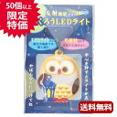 防災グッズ 【送料無料】 【あす楽】 反射機能付き！ふくろうLEDライト 懐中電灯 防災グッズ セット 防災訓練 即納 販促品 懐中電灯 300円 人気 200円台 敬老会 プレゼント イベント セール sale