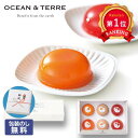 \楽天1位/ お中元 お菓子 お中元 夏ギフト 【包装】PremiumフルーツゼリーセットE ゼリー オーシャンテール 敬老会 プレゼント デイサービス 施設 食べ物 安い プチギフト お菓子 お中元 夏ギフト 御中元 お返し お
