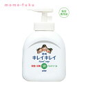 【クーポン有 大感謝祭】 ギフト 【送料無料】 キレイキレイ　薬用液体ハンドソープ250ml　箱なし【48個単位】 ウィルス対策 予防グッズ 衛生用品 ギフト 400円 人気 400円台 敬老会 プレゼント イベント セール sale