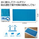 【今だけP最大47倍】【44%OFF】 プチギフト 退職 タオル 【送料無料】 さらっと涼感シーツタオル ハンドタオル 初盆 お返し 品 販促品 退職 産休 あ...