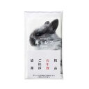 販促品 ポケットティッシュ 【送料無料】 ネピア 鼻セレブITSUMO48W(名刺ポケット付き)【1000個単位】 ポケットティッシュ ウィルス対策 予防グッズ...