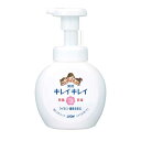 販促品 ハンドソープ 【送料無料】 キレイキレイ薬用泡ハンドソープ250ml【40個単位】 ハンドソープ ウィルス対策 予防グッズ 衛生用品 販促品 ハンドソー...