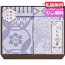 【9日20時〜P最大47倍】 母の日 ギフト タオルケット 【送料無料】 今治 うらら咲き タオルケット2P タオルケット ギフト タオルケット 人気 敬老会 ...
