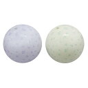 【クーポン有】 販促品 バルーン 【送料無料】 ビーチボール1個(フローラル)【300個単位】 バルーン 販促品 バルーン 200円 人気 100円台 敬老会 ...