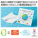 【36%OFF】 プチギフト 退職 タオル 【送料無料】 今治ポケットたおる#ZEROカーボン タオルセット 販促品 退職 産休 ありがとう 販促品 激安 タオ...