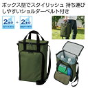 【44%OFF】 販促品 保冷温バッグ 【送料無料】 アウトドア 保冷温ボックスバッグ 保冷温バッグ 販促品 激安 保冷温バッグ 800円 人気 800円台 敬...