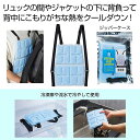 【43%OFF】 プチギフト 退職 タオル 【送料無料】 背中クールベスト 冷却タオル 販促品 退職 産休 ありがとう 販促品 激安 冷却タオル 2000円 人...