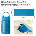 【36%OFF】 プチギフト 退職 タオル 【送料無料】 ボトルインクールタオル 冷却タオル 販促品 退職 産休 ありがとう 販促品 激安 冷却タオル 500円...