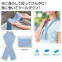 【今だけP最大47倍】【37%OFF】 プチギフト 退職 タオル 【送料無料】 ザ・涼感マフラータオル#sustainable ハンドタオル 初盆 お返し 品 ...