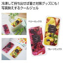 【44%OFF】 販促品 クールジェル 【送料無料】 アイスキャンディークールジェル クールジェル 販促品 激安 クールジェル 200円 人気 100円台 敬老...