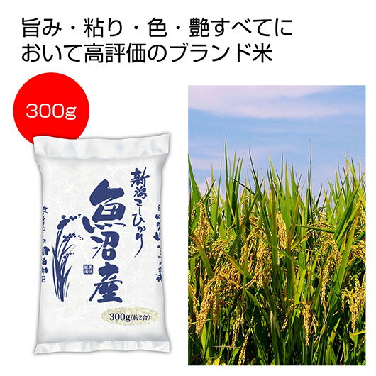 お中元 白米 ギフト 白米 【送料無料】 新潟魚沼産こしひかり300g【50個単位】 白米 ギフト 白米 1000円 人気 1000円台 敬老会 プレゼント イ...