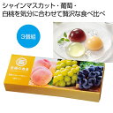 【29%OFF】 プチギフト お菓子 おしゃれ 【送料無料】 至福の逸品 贅沢フルーツゼリー3種セット【48個単位】 ゼリー 敬老会 プレゼント デイサービス ...