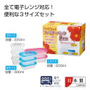 【42%OFF】 販促品 保存容器 ファミリーパック8個組 保存容器 販促品 激安 保存容器 600円 人気 600円台 敬老会 プレゼント イベント セール ...