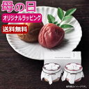 【9日20時〜P最大47倍】 母の日 梅干しセット 母の日 プレゼント 【送料無料】 【母の日】Premium 紀州南高梅セットA 梅干しセット オーシャンテー...