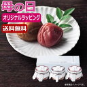 【9日20時〜P最大47倍】 母の日 梅干しセット 母の日 プレゼント 【送料無料】 【母の日】Premium 紀州南高梅セットD 梅干しセット オーシャンテー...