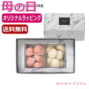 【9日20時〜P最大47倍】 母の日 お菓子 母の日 プレゼント 【送料無料】 【母の日】ブールド・ネージュ セットA 焼き菓子 セット オーシャンテール プチ...