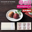 【今だけP最大47倍】 母の日 梅干しセット 母の日 プレゼント 【送料無料】 【母の日】Premium 紀州南高梅 6粒 木箱入り 梅干しセット オーシャンテ...